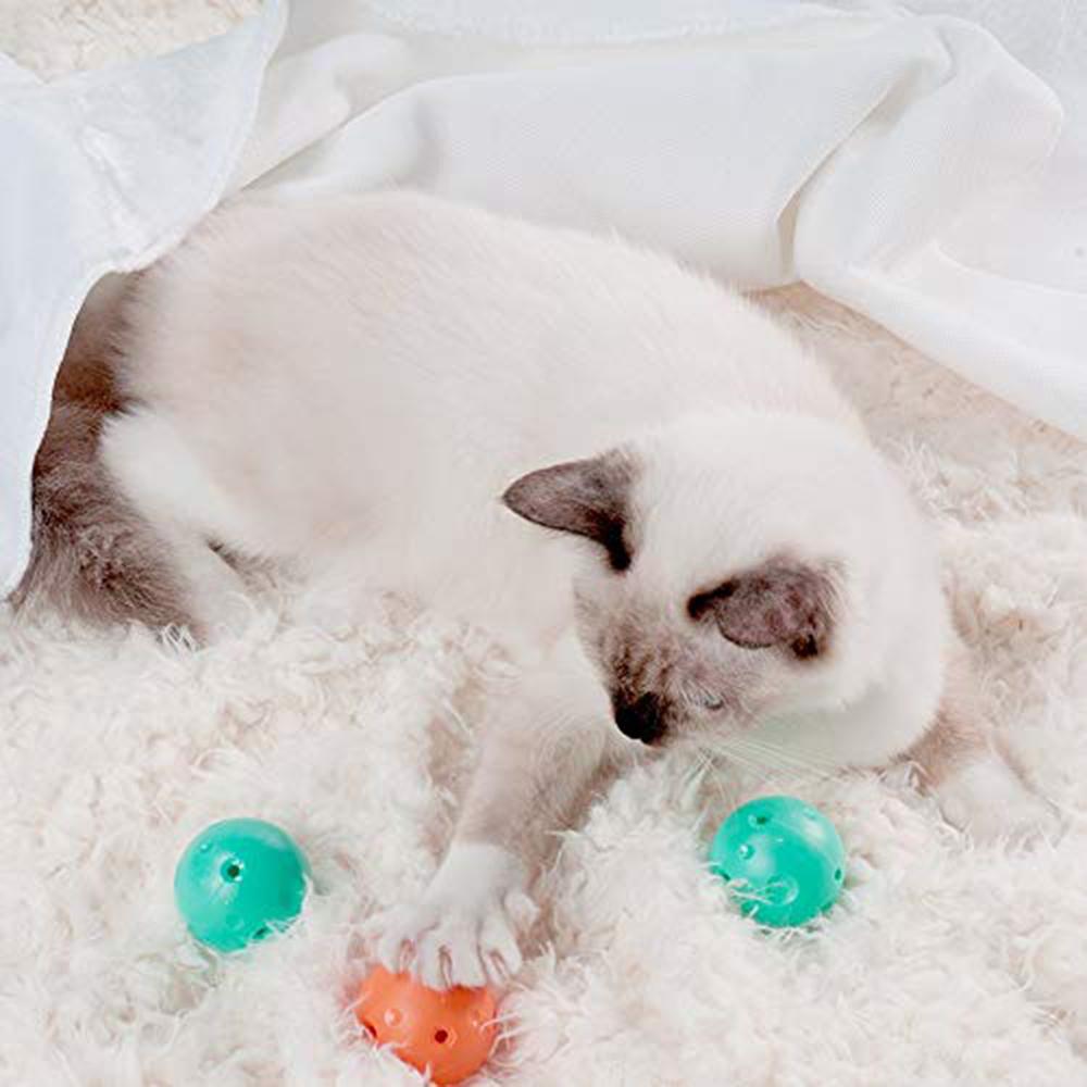 Instachew PETKIT Cat Scratch and Play Mat